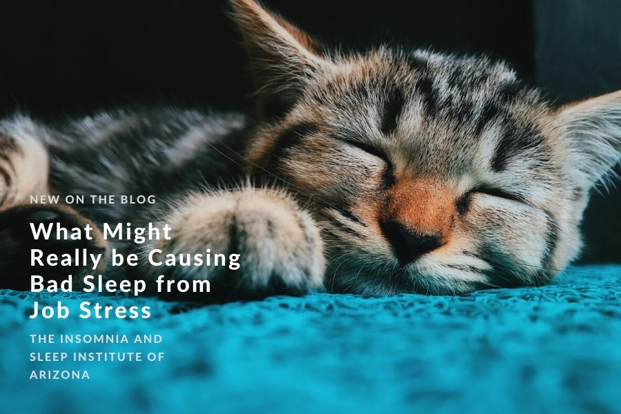 Bad Sleep from Job Stress | The Insomnia & Sleep Institute